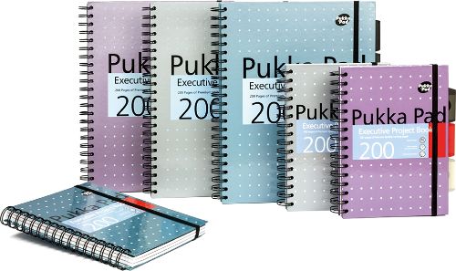 Pukka Executive Lined Project Book, Metallic