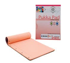 Pukka A4 Irlen Pad 4 Hole Punched Rose - 100 page